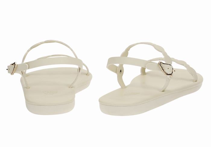 Sandales Bride Arrière Ancient Greek Sandals Orion   | HXK-8240341